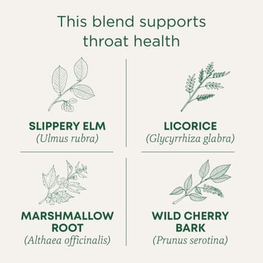 Чайные пакетики Traditional Medicinals Organic Throat Coat® Original with Slippery Elm, без кофеина, 32 г, 16 чайных пакетиков