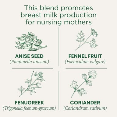 Чайные пакетики Traditional Medicinals Organic Mother's Milk® Original with Fennel & Fenugreek, 28 г, 16 чайных пакетиков