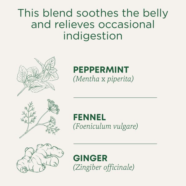 Чайные пакетики Traditional Medicinals Organic Belly Comfort®, без кофеина, оттенок Peppermint, 28 г, 16 чайных пакетиков — фото 8