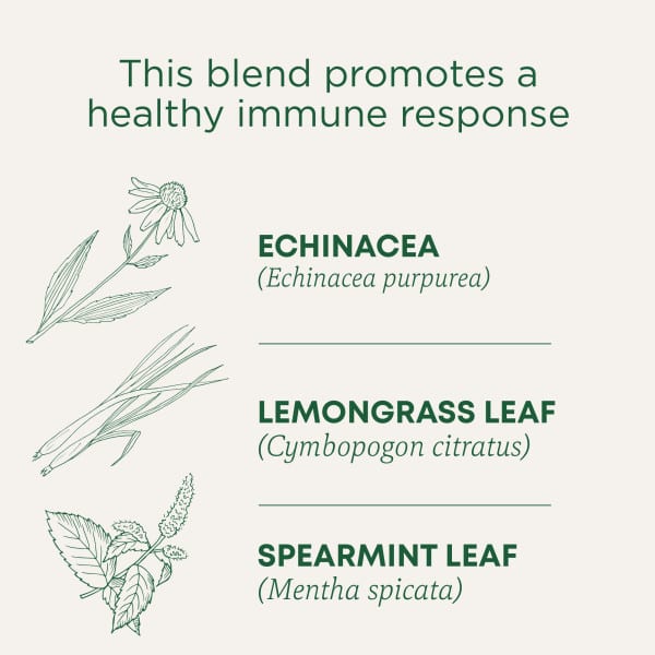 Чайные пакетики Traditional Medicinals Organic Echinacea Plus® Original with Spearmint, без кофеина, 24 г, 16 чайных пакетиков — фото 4