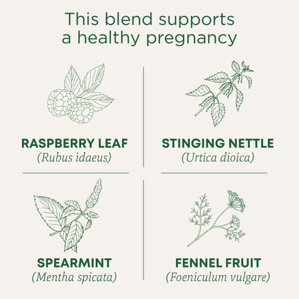 Чайные пакетики Traditional Medicinals Organic Pregnancy® Tea, без кофеина, вкус Raspberry Leaf, 28 г, 16 чайных пакетиков — фото 4