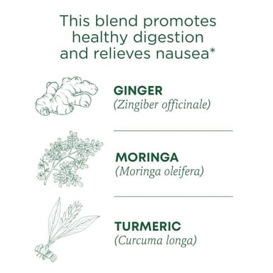 Чайные пакетики Traditional Medicinals Organic Ginger Aid®, без кофеина, вкус Ginger & Lemon Myrtle, 32 г, 16 чайных пакетиков
