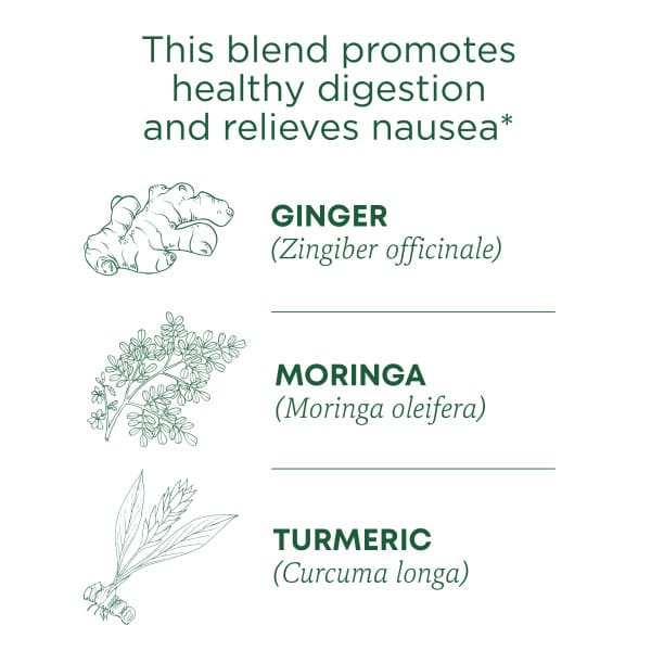 Чайные пакетики Traditional Medicinals Organic Ginger Aid®, без кофеина, вкус Ginger & Lemon Myrtle, 32 г, 16 чайных пакетиков