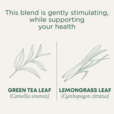 Чайные пакетики Traditional Medicinals Organic Green Tea, вкус Lemongrass, 24 г, 16 чайных пакетиков