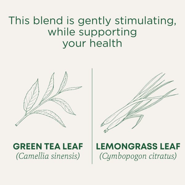 Чайные пакетики Traditional Medicinals Organic Green Tea, вкус Lemongrass, 24 г, 16 чайных пакетиков