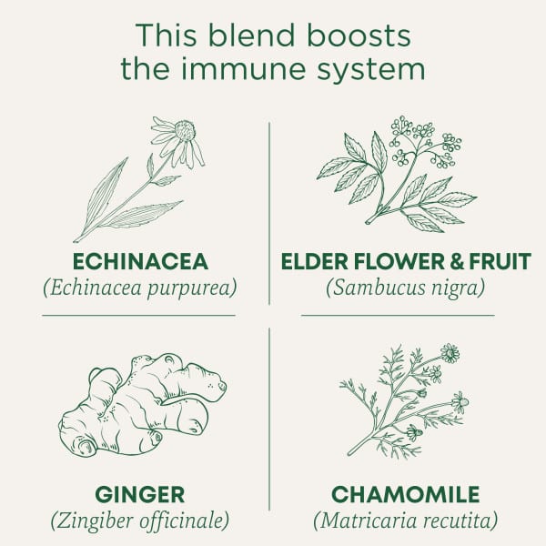 Чайные пакетики Traditional Medicinals Organic Echinacea Plus®, без кофеина, вкус Elderberry, 24 г, 16 чайных пакетиков — фото 4