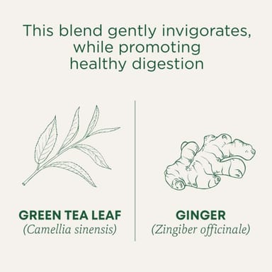 Чайные пакетики Traditional Medicinals Organic Green Tea, оттенок Ginger, 24 г, 16 чайных пакетиков