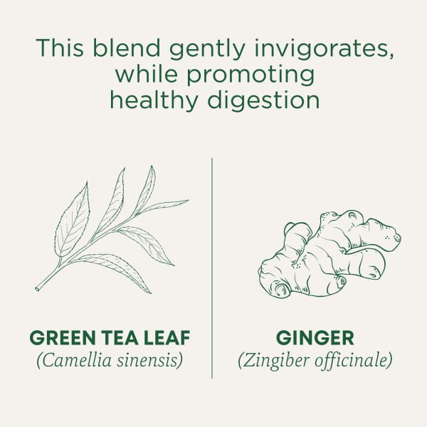 Чайные пакетики Traditional Medicinals Organic Green Tea, оттенок Ginger, 24 г, 16 чайных пакетиков