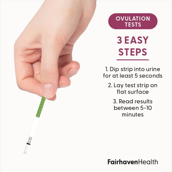 Тест-полоски для овуляции и беременности Fairhaven Health, 40 тестов на овуляцию и 10 тестов на беременность — фото 4