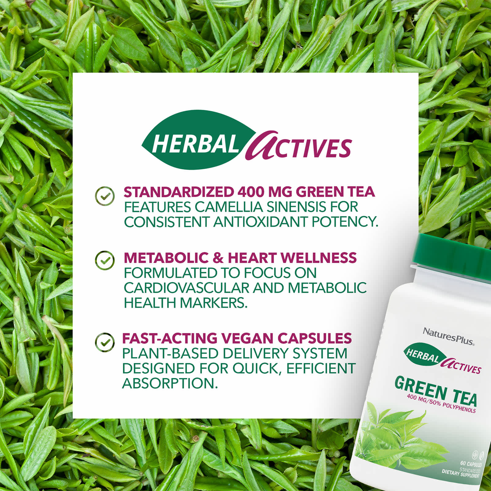 Зеленый чай NaturesPlus Herbal Actives, 400 мг, 60 капсул — фото 3
