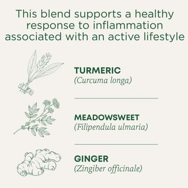 Чайные пакетики Traditional Medicinals Organic Turmeric & Ginger with Meadowsweet, без кофеина, 32 г, 16 чайных пакетиков