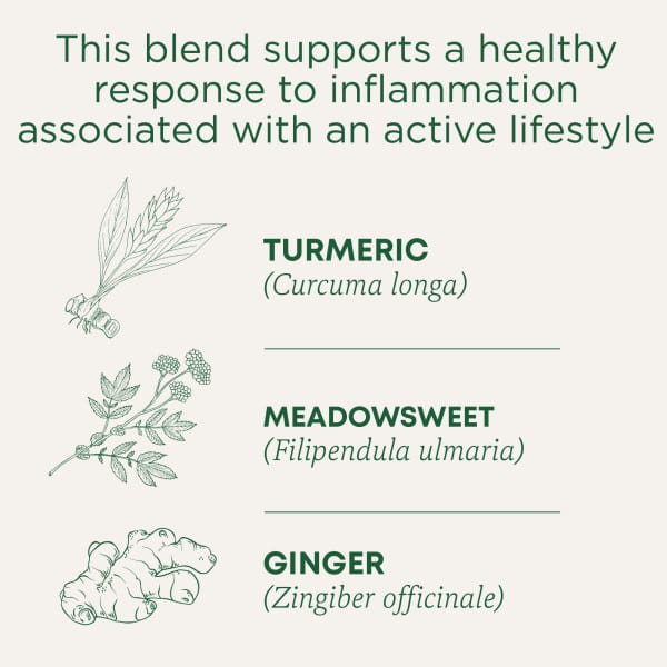Чайные пакетики Traditional Medicinals Organic Turmeric & Ginger with Meadowsweet, без кофеина, 32 г, 16 чайных пакетиков