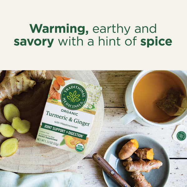Чайные пакетики Traditional Medicinals Organic Turmeric & Ginger with Meadowsweet, без кофеина, 32 г, 16 чайных пакетиков — фото 2