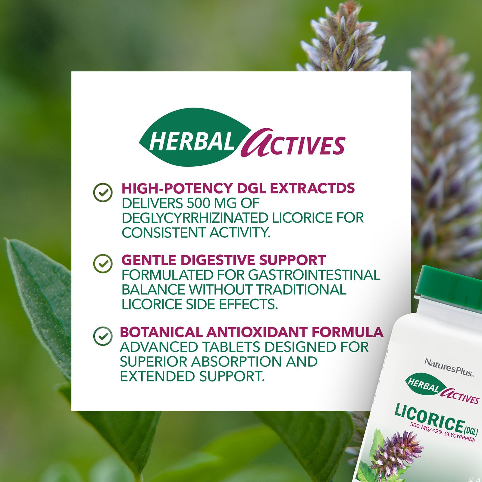 DGL NaturesPlus Herbal Actives Licorice ( ), 500 мг, 60 капсул — фото 3