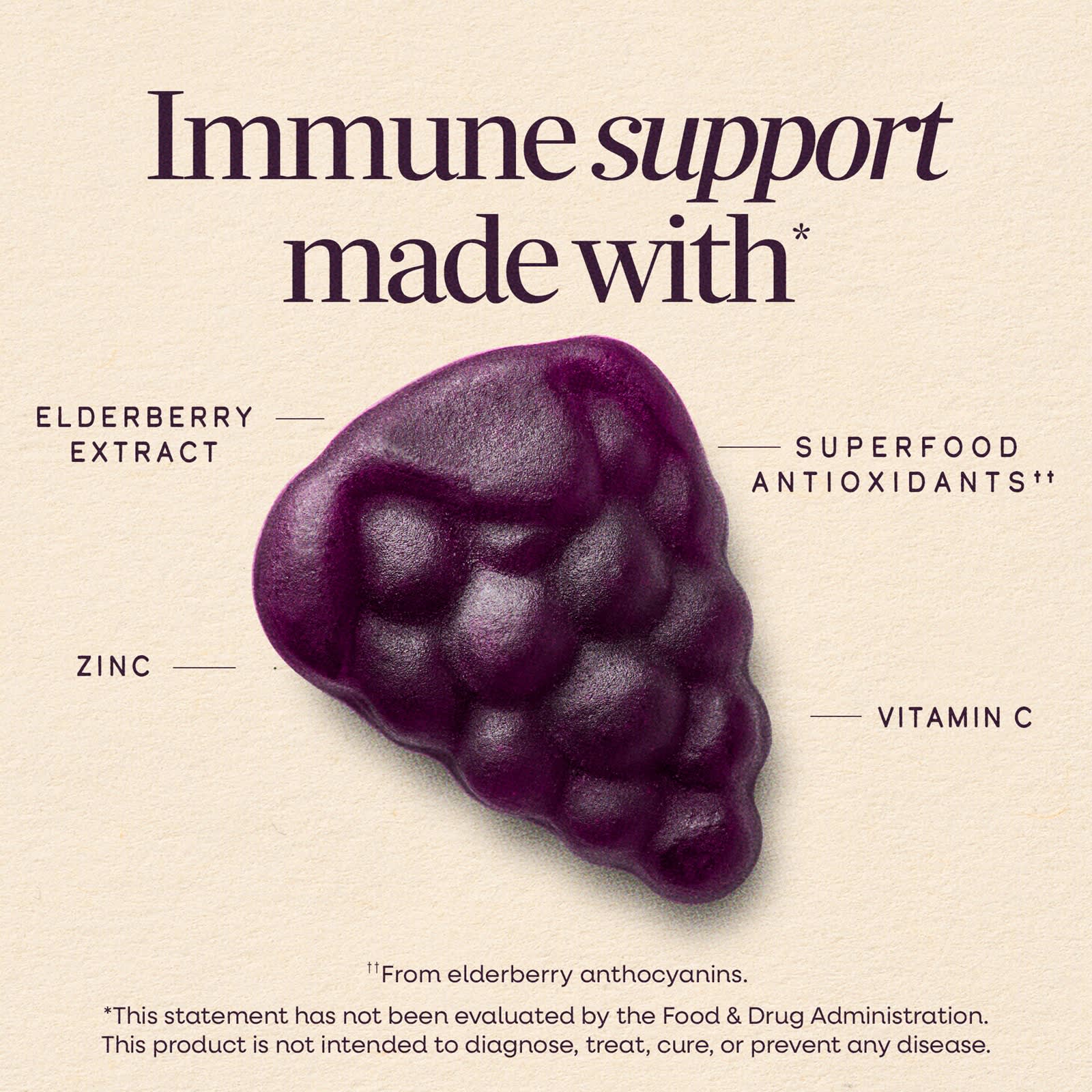 Бузина Nature's Way Sambucus® Immune Gummy with Zinc & Vitamin C, вкус Elderberry, для детей от 2 лет, 60 жевательных пастилок — фото 6
