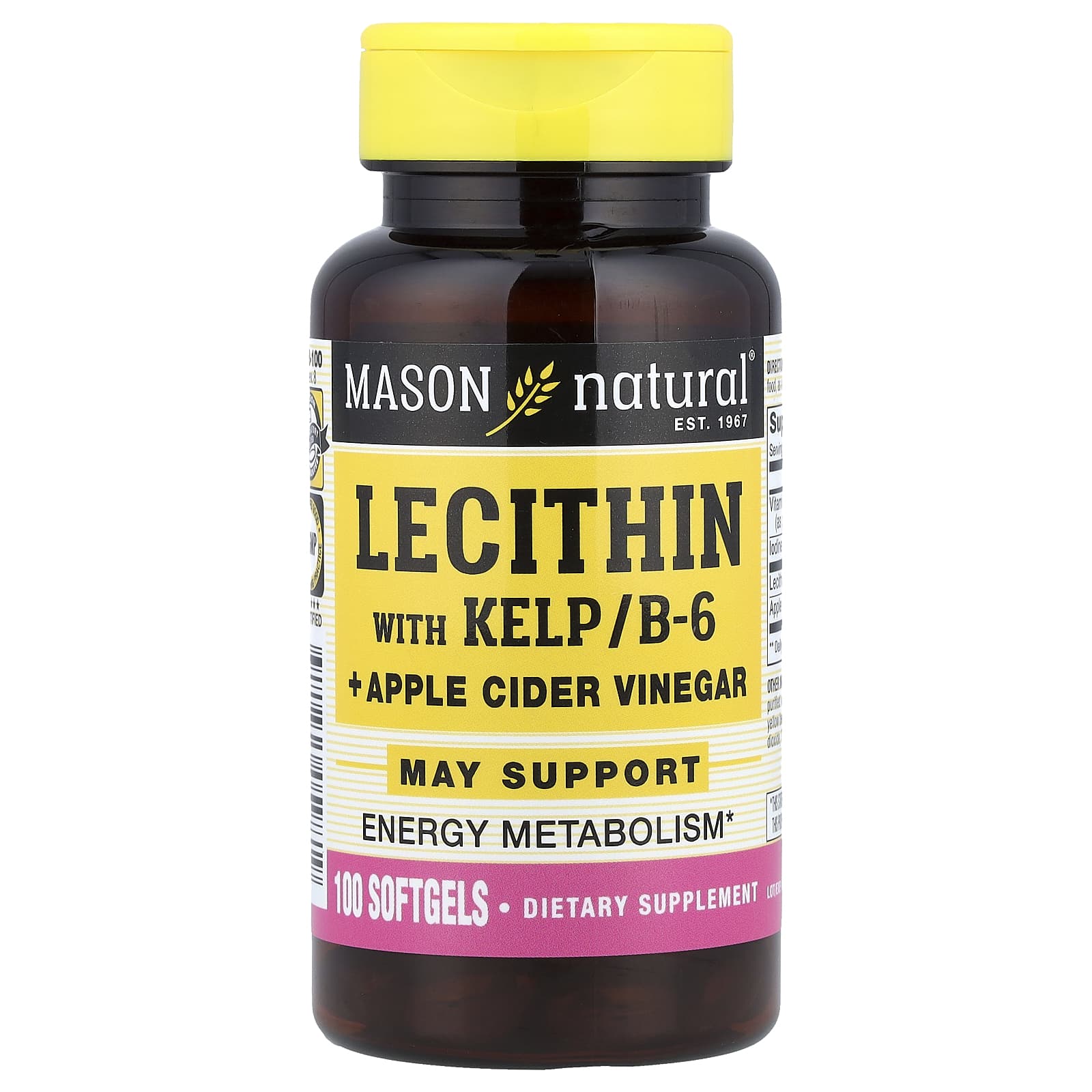 Яблочный уксус Mason Natural, вкус Lecithin with Kelp/B-6 Apple Cider Vinegar, 100 мягких капсул