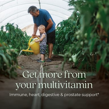 Мужские мультивитамины New Chapter One Daily Every Man's™ Multivitamin 55+, 96 растительных таблеток