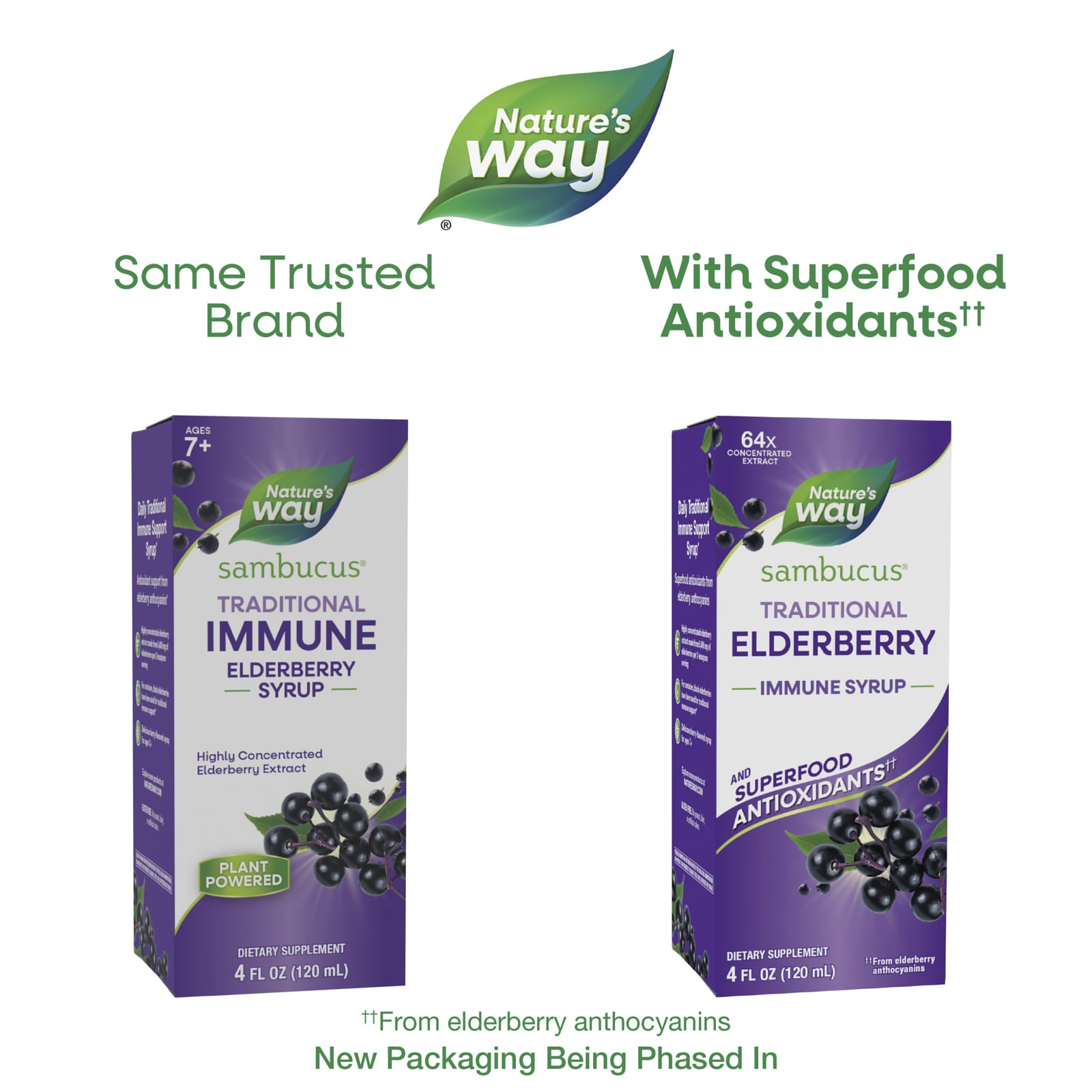 Бузина Nature's Way Sambucus® Traditional Immune Syrup, вкус Elderberry, 120 мл