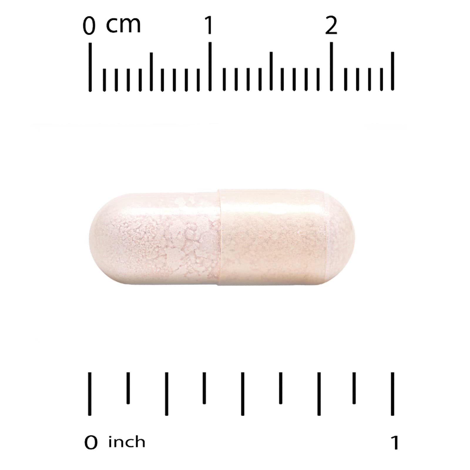 Бифидобактерии California Gold Nutrition Probiotics with Lactobacillus acidophilus lactis Lactobacillus plantarum and Lactobacillus casei, оттенок 10 Strain Blend, 25 млрд КОЕ, 60 растительных капсул — фото 2