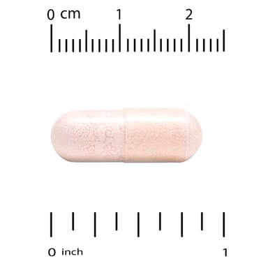 Бифидобактерии California Gold Nutrition Probiotics with Lactobacillus acidophilus lactis Lactobacillus plantarum and Lactobacillus casei, оттенок 10 Strain Blend, 25 млрд КОЕ, 180 растительных капсул